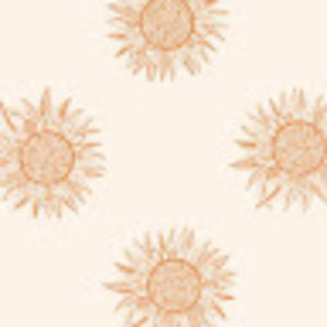 Meet your Posher, Noey